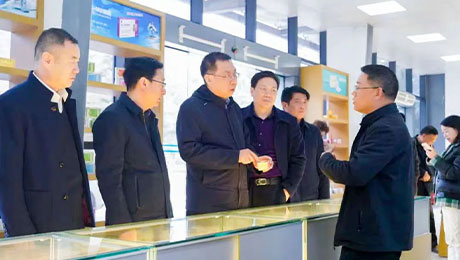 依法服务保障企业更好发展，陇南中院院长万建军赴独一味制药调研指导